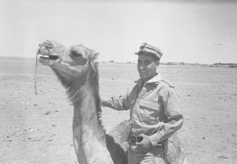 227ATN SMARA